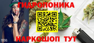 spice Донецк