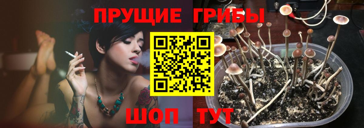 Галлюциногенные грибы мухоморы Избербаш